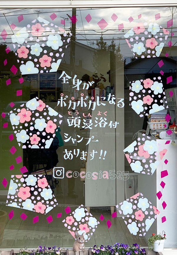 ウィンドウ コレクション10