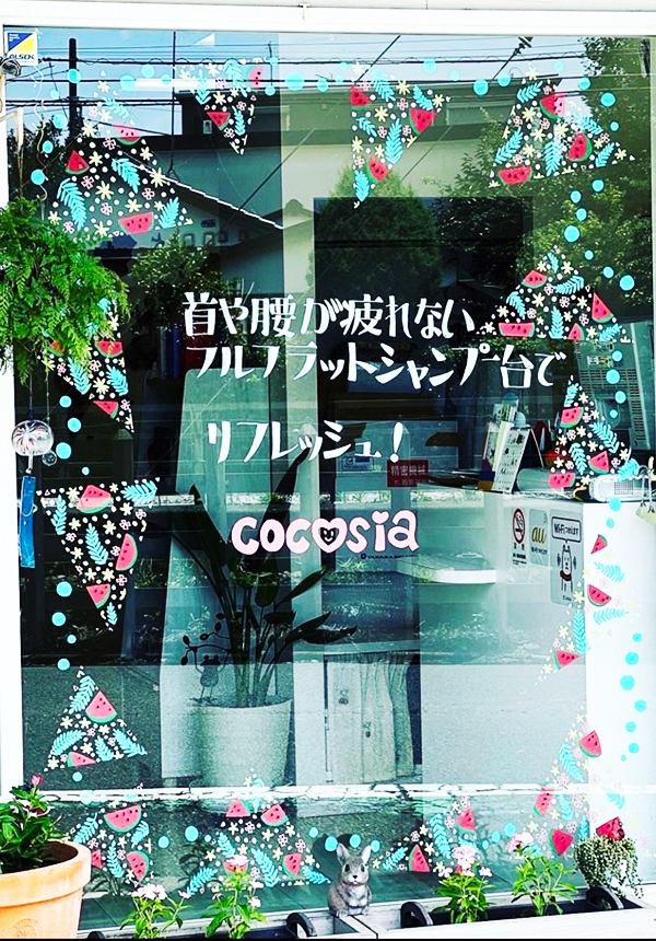 ウィンドウ コレクション13