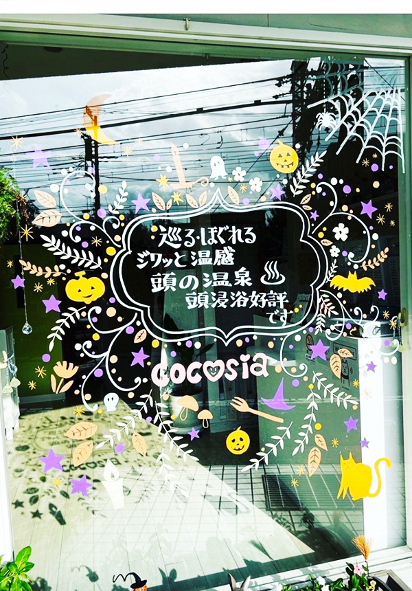 ウィンドウ コレクション14